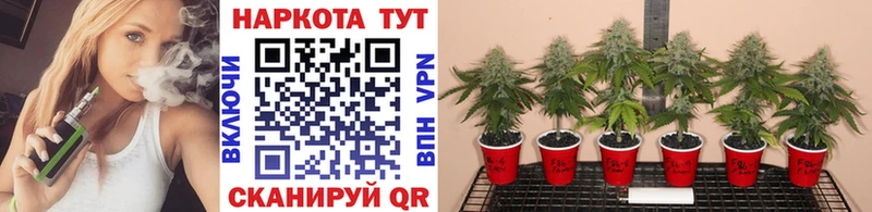 Купить наркотики сайты Тара hydra рабочий сайт  Кодеин  ГАШ  COCAIN  Марихуана  Альфа ПВП  Бутират 