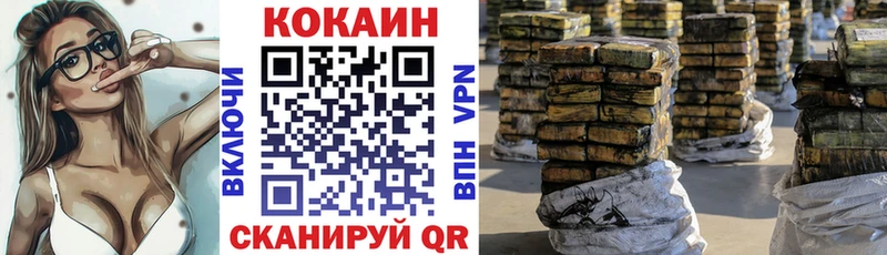 ссылка на мегу маркетплейс  Тара  Кокаин Эквадор 