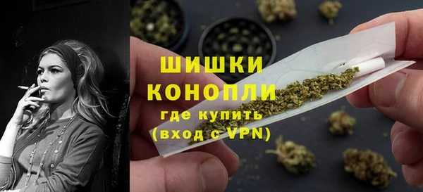 гидра Елизово