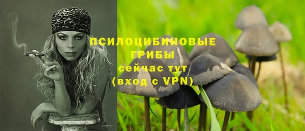амф Ельня