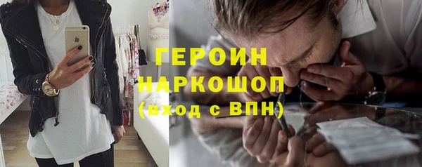 гидра Елизово