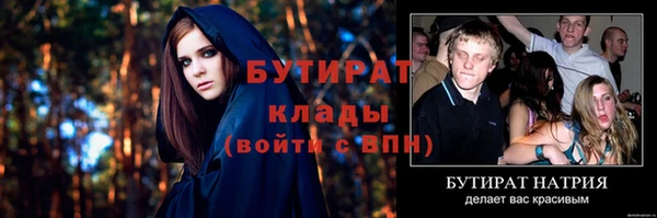 амф Ельня