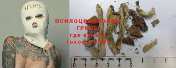 гидра Елизово