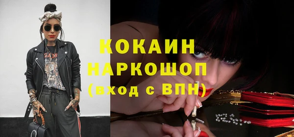 гидра Елизово