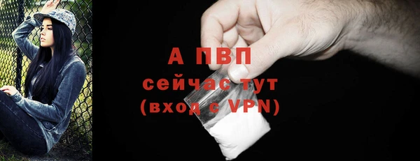 амф Ельня