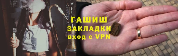 амф Ельня