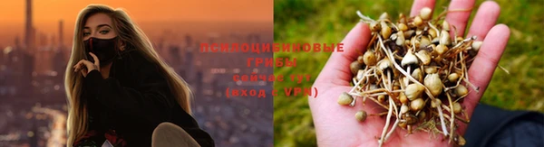 ALPHA-PVP Елабуга