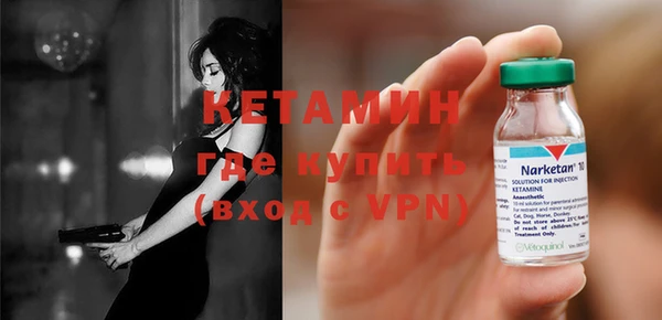 амф Ельня