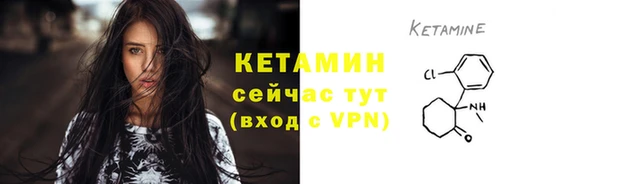 амф Ельня