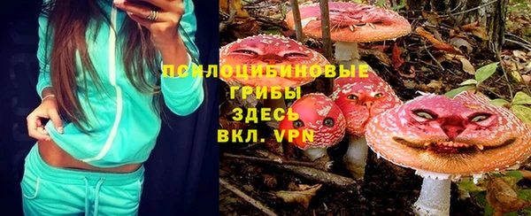 амф Ельня