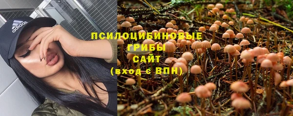 гидра Елизово