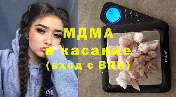 гидра Елизово