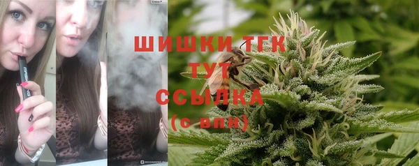 гидра Елизово