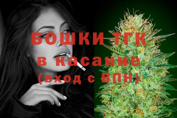 гидра Елизово