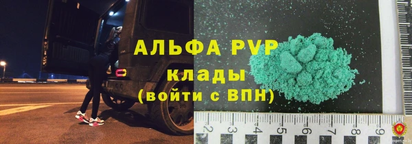 гидра Елизово