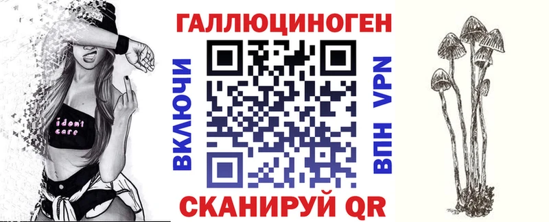 сколько стоит  Тара  Псилоцибиновые грибы Psilocybe 
