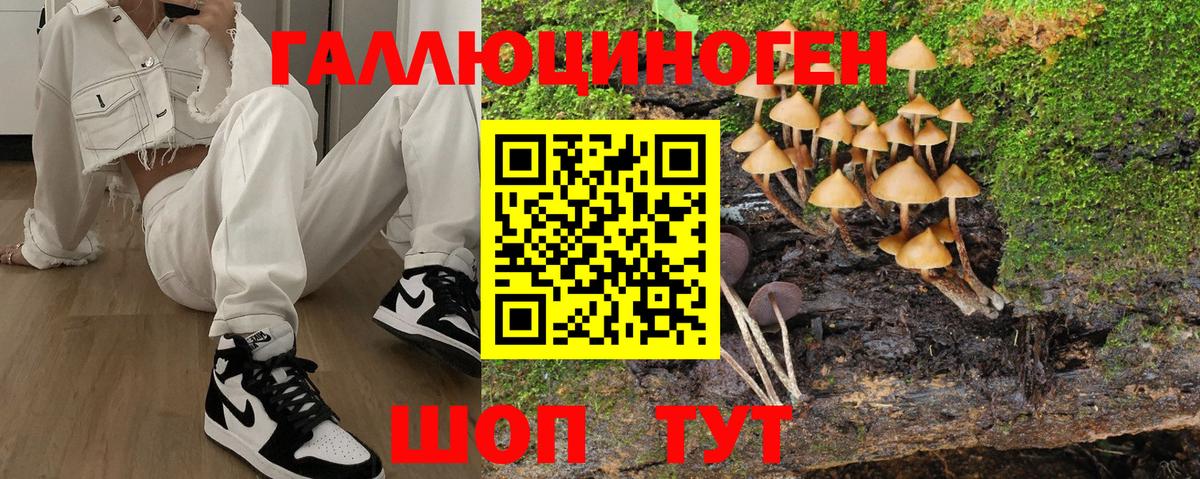 Галлюциногенные грибы прущие грибы  Вход с VPN  Тара 