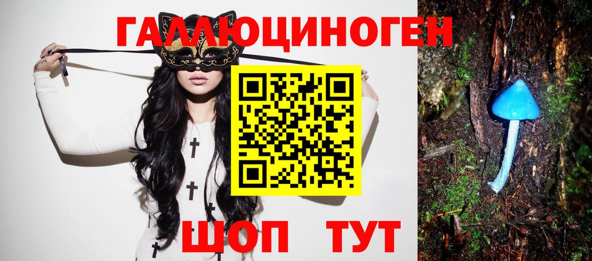 Псилоцибиновые грибы Magic Shrooms Тара